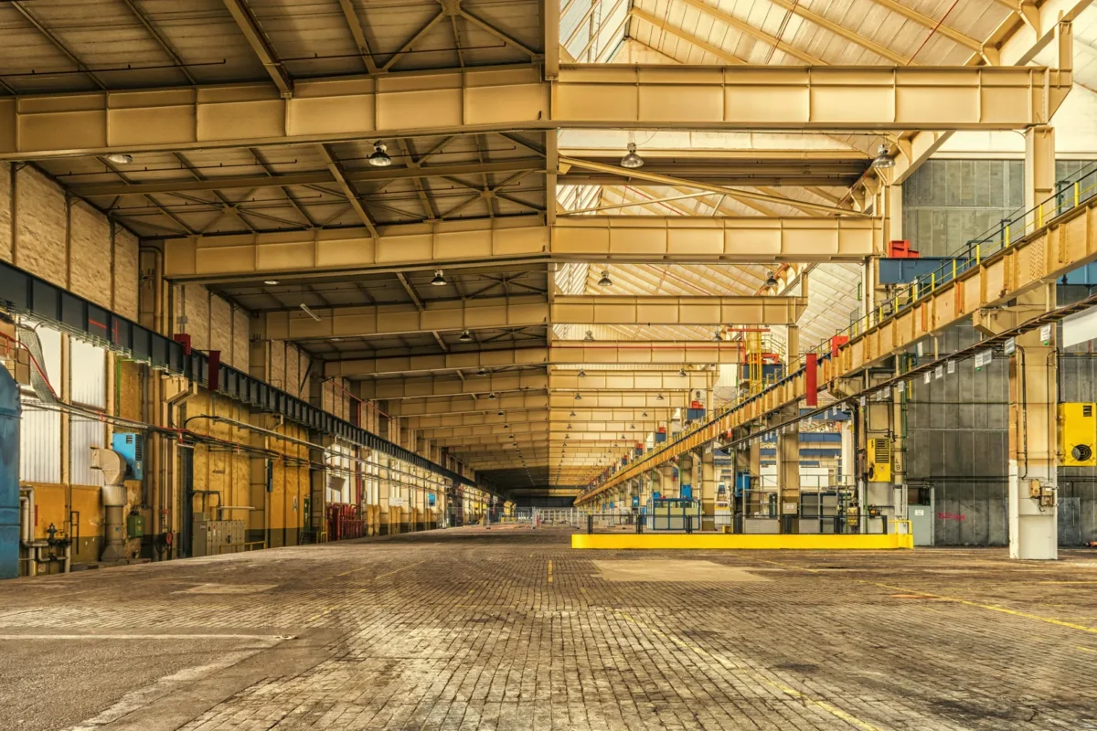 Gợi ý những loại cây sống tốt ở ban công chung cư thiếu nắng